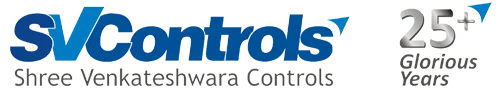 25 Years logo
